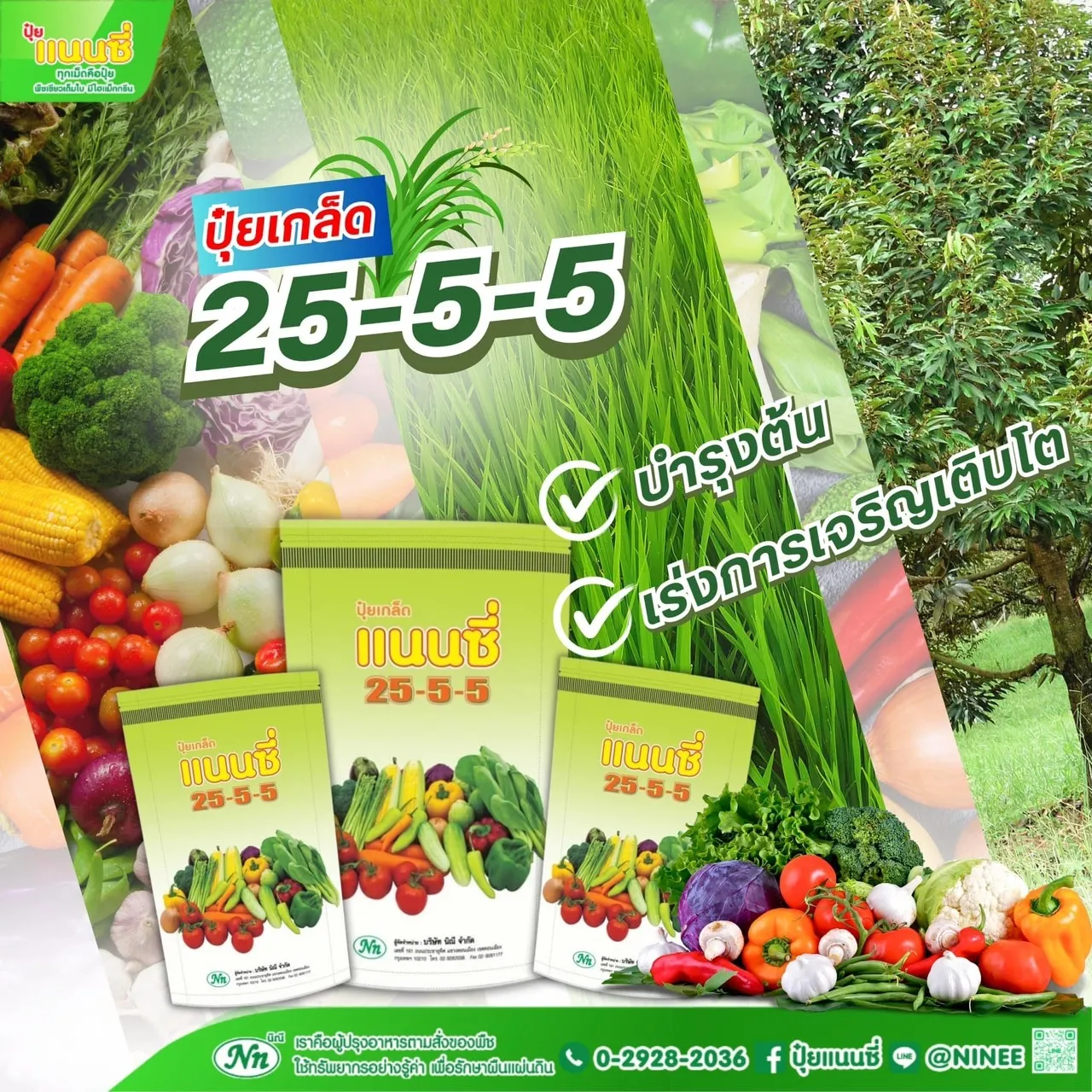 ជីរីរាង្គ 934759398534